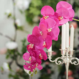 2 Stems | 40inch Tall Fuchsia Artificial Silk Orchid Flower Bouquets