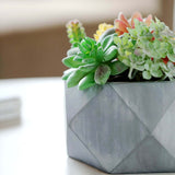 7inch Gray Finished Concrete Geometric Planter, Mini Cement Succulent Flower Pot