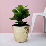 11inch Gold Hammered Design Large Indoor Flower Plant Pot, Decorative Greenery Planter