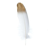 30 Pack | Metallic Gold Dipped White Real Goose Feathers | Craft Feathers for Party Decoration