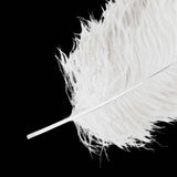 Set of 12 | 24"-26" White Natural Plume Ostrich Feathers Centerpiece 