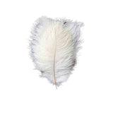 12 Pack | 13-15inch White Natural Plume Real Ostrich Feathers, DIY Centerpiece Fillers