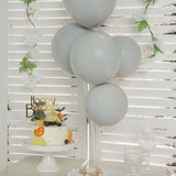 25 Pack | 10inch Matte Gray Double Stuffed Prepacked Latex Party Balloons