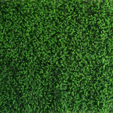 11 Sq ft. | Baby Green Boxwood Hedge Garden Wall Backdrop Mat