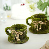 Set of 2 | Preserved Moss Teacup Planter Box with Natural Braided Twine Bow - 5" & 4.5"