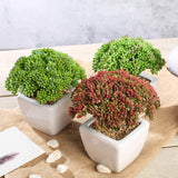 3 Pack | 6inches Ceramic Planter Pot & Artificial Joy Sedum Succulent Plant