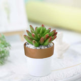 3 Pack | 3inch White Gold Rimmed Small Flower Plant Pots, Indoor Decorative Planters