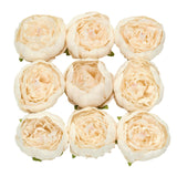 10 Pack | 3inch Beige Artificial Silk DIY Craft Peony Flower Heads