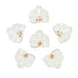 20 Flower Heads | 4inch White Artificial Silk Orchids DIY Crafts