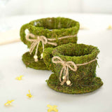 Set of 2 | Preserved Moss Teacup Planter Box with Natural Braided Twine Bow - 5" & 4.5"