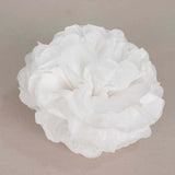 6 Pack 6inch White Tissue Paper Pom Poms Flower Balls, Ceiling Wall Hanging Decorations