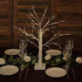 2ft White Artificial LED Birch Tree Lamp, USB Rechargeable Warm White Lighted Tree Centerpiece