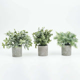 3 Plant Set | 9inch Mini Potted Artificial Eucalyptus, Rosemary & Boxwood Faux Planter Collection