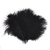 12 Pack | 13-15inch Black Natural Plume Real Ostrich Feathers, DIY Centerpiece Fillers