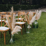 6 Stems | 49inch Wheat Tint Dried Natural Pampas Grass Plant Sprays