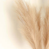 3 Stems | 44inch Taupe Artificial Pampas Grass Plant Sprays, Faux Branches Vase Flower Arrangement