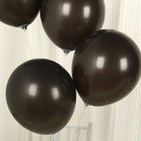 50 Pack Black Biodegradable Balloons, 12Thickened Extra Strong Eco-friendly Latex