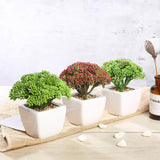 3 Pack | 6inches Ceramic Planter Pot & Artificial Joy Sedum Succulent Plant