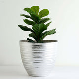 12inch Metallic Silver Finish Large Indoor Flower Plant Pot, Decorative Indoor/Outdoor Planter