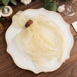 5 Pack Champagne Sheer Crinkled Organza Dinner Napkins, Premium Shimmer Decorative Wedding Napkins