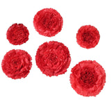 6 Multi Size Pack | Carnation Red Dual Tone 3D Wall Flowers Giant Tissue Paper Flowers - 12",16",20"