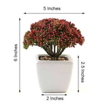 3 Pack | 6inches Ceramic Planter Pot & Artificial Joy Sedum Succulent Plant