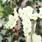 2 Stems | 40inch Tall Cream Artificial Silk Orchid Flower Bouquets