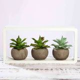 3 Pack | 5inches Ceramic Planter Pot & Artificial Aloe Succulent Plants