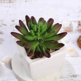 3 Pack | 4inches Ceramic Planter Pot & Artificial Lotus Succulent Plants