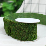 2" Wide | 4 Ft Green Preserved Moss Ribbon Rolls