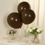 10 Pack Matte Pastel Cinnamon Brown Biodegradable Balloons 18inch, Round Eco-friendly