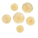 6 Multi Size Pack | Carnation Ivory/Cream 3D Wall Flowers Giant Tissue Paper Flowers - 12",16",20"