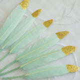 30 Pack | Glitter Gold Tip Mint Real Turkey Feathers | Craft Feathers for Party Decoration