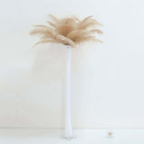 12 Pack | 13-15inch Beige Natural Plume Real Ostrich Feathers, DIY Centerpiece Fillers