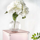 Blush | Rose Gold Mirror Box | Acrylic Display Boxes