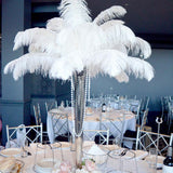 12 Pack | 13-15inch White Natural Plume Real Ostrich Feathers, DIY Centerpiece Fillers