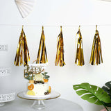 Pre-Tied Metallic Foil Fringe Tassel Garland, Tinsel Curtain for Photo Backdrop Party Decoration