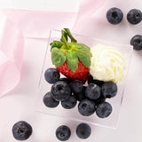 10 Pack - 4inch Clear Sleek Square Plastic Plates, Disposable Dessert Plates