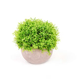 2 Plant Set | 5inch Mini Potted Artificial Boxwood Topiary Faux Planter Collection#whtbkgd