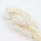 50 Pack | 15inch Natural White Rabbit Tail Dried Pampas Grass Stem Bouquets