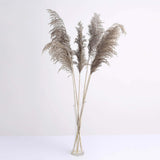 6 Stems | 32inch Natural Tint Dried Natural Pampas Grass Plant Sprays