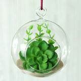 4 Pack | 4inch Air Plant Hanging Glass Globe Terrarium, Free-Falling Elegant Planter