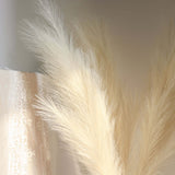 3 Stems | 44inches Cream Artificial Pampas Grass Plant Sprays, Faux Branches Vase Flower Arrangement