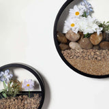 Set of 3 Black Half Moon Wall Planters Round Metal Wall Hanging Planter Modern Indoor Terrarium