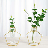 2 Pack | 6.5inch Geometric Gold Metal Frame Test Tube Vase Flower Stands