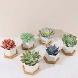 6 Pack | 3inch White Geometric Hexagon Ceramic Planter Pots, Bamboo Tray Base w/ Drainage Hole