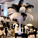 12 Pack | 13-15inch Black Natural Plume Real Ostrich Feathers, DIY Centerpiece Fillers