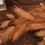 50 Pack | 15inch Brown Rabbit Tail Dried Pampas Grass Stem, Boho Flower Arrangement Sprays#whtbkgd