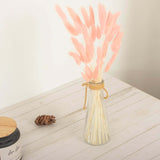 50 Pack | 15inch Blush Rose Gold Rabbit Tail Dried Pampas Grass Stem Bouquets