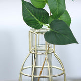 Set of 2 | Bottle Shaped Gold Metal Frame Test Tube Bud Vases, Geometric Glass Wedding Centerpieces